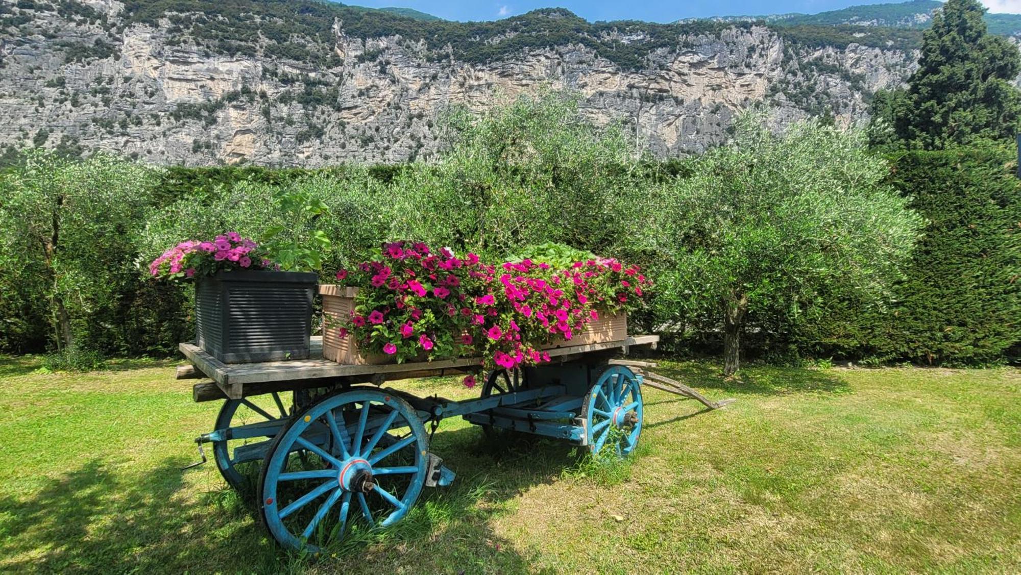 Agriturismo Vin E Amor Dro Zewnętrze zdjęcie