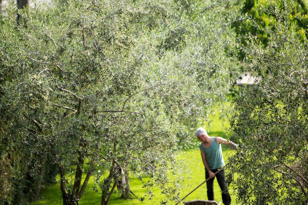 Agriturismo Vin E Amor Dro Zewnętrze zdjęcie